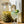 Load image into Gallery viewer, Queen of Summer Gooseberry Vodka Liqueur